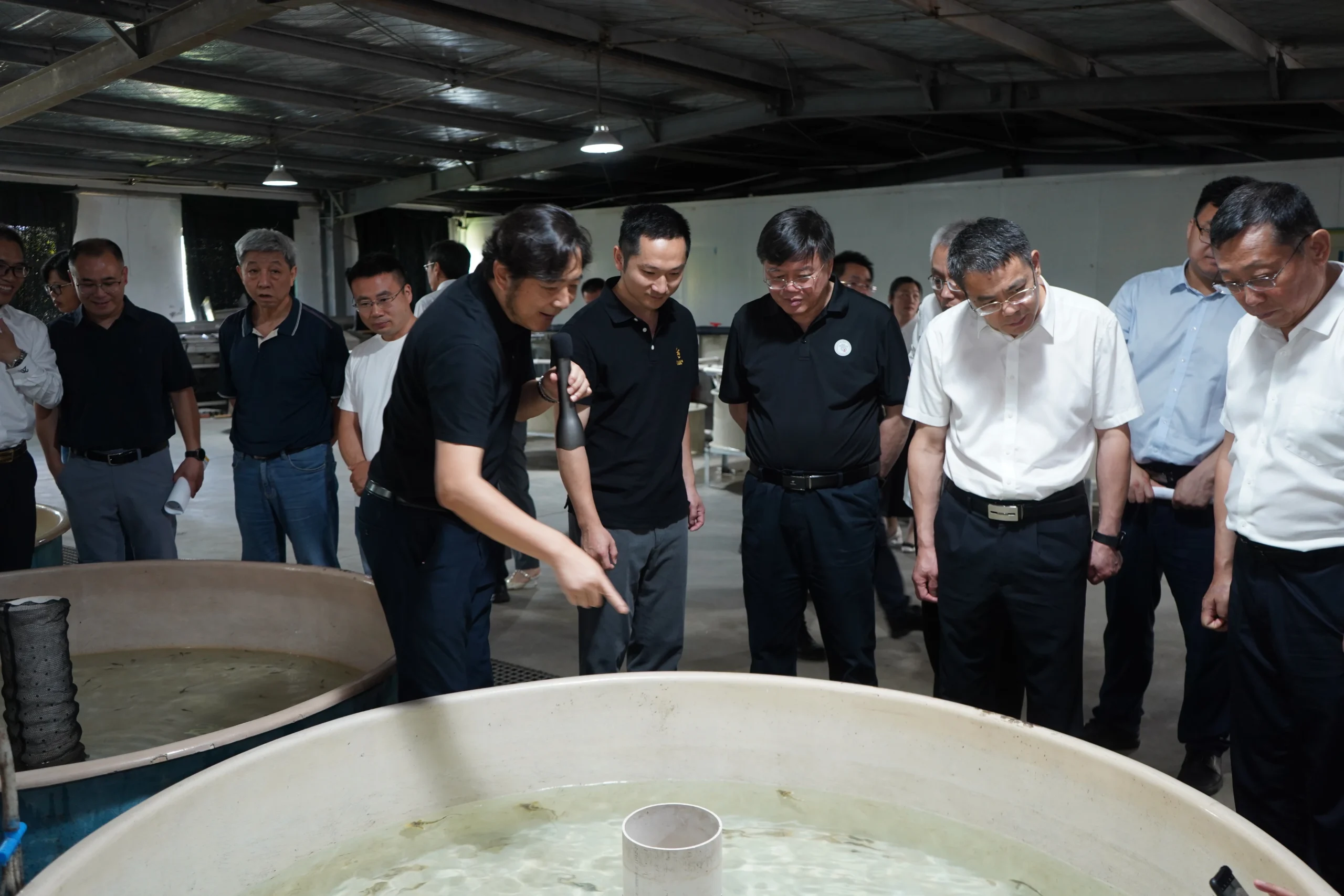 Business delegation reviewing shrimp cultivation tanks inside a modern aquaculture farm.